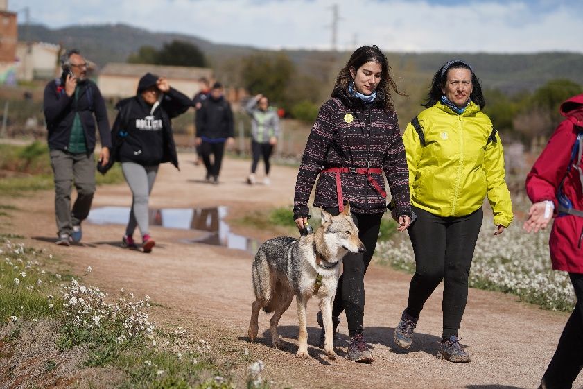 Transéquia 2024: Busca't a les fotos