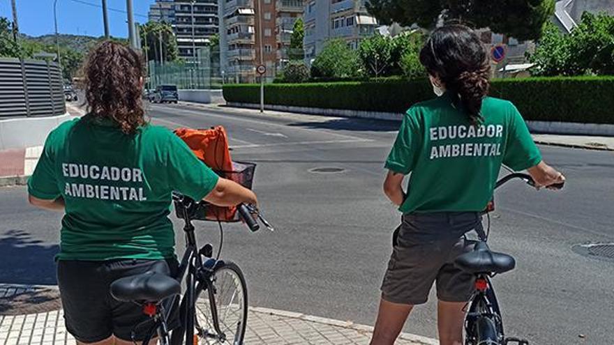 Tirar la basura fuera de hora, mayor infracción ambiental en Benicàssim