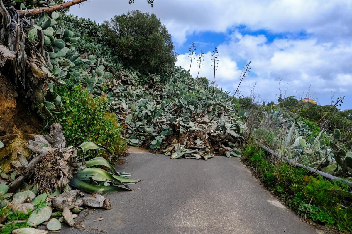 Derrumbamiento en Lomo La Vizcaína