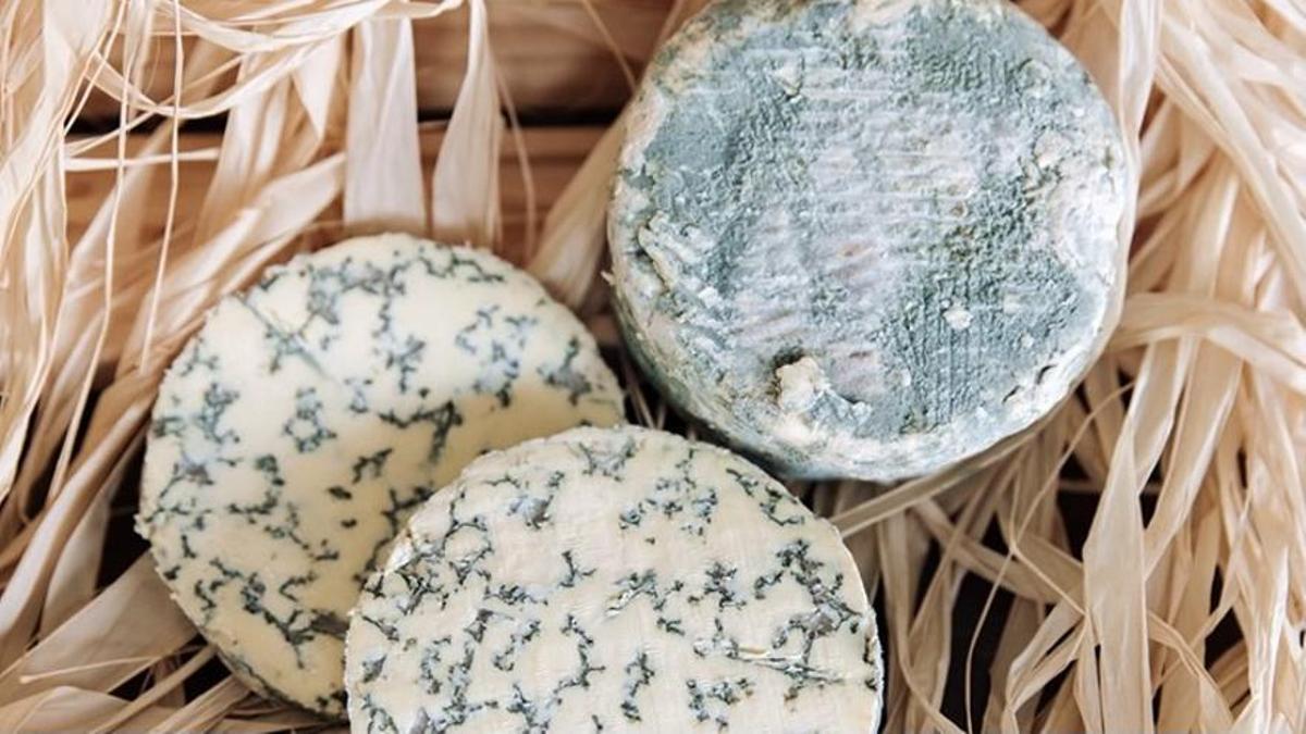 Savel, el queso azul de Airas Moniz.