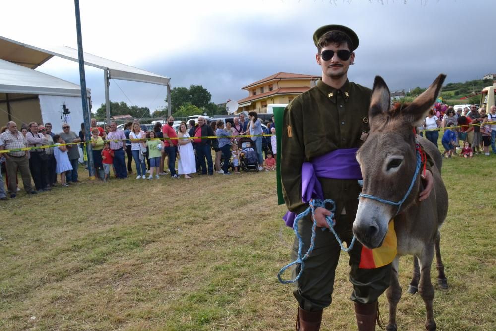 Carrera de burros en Pañeda