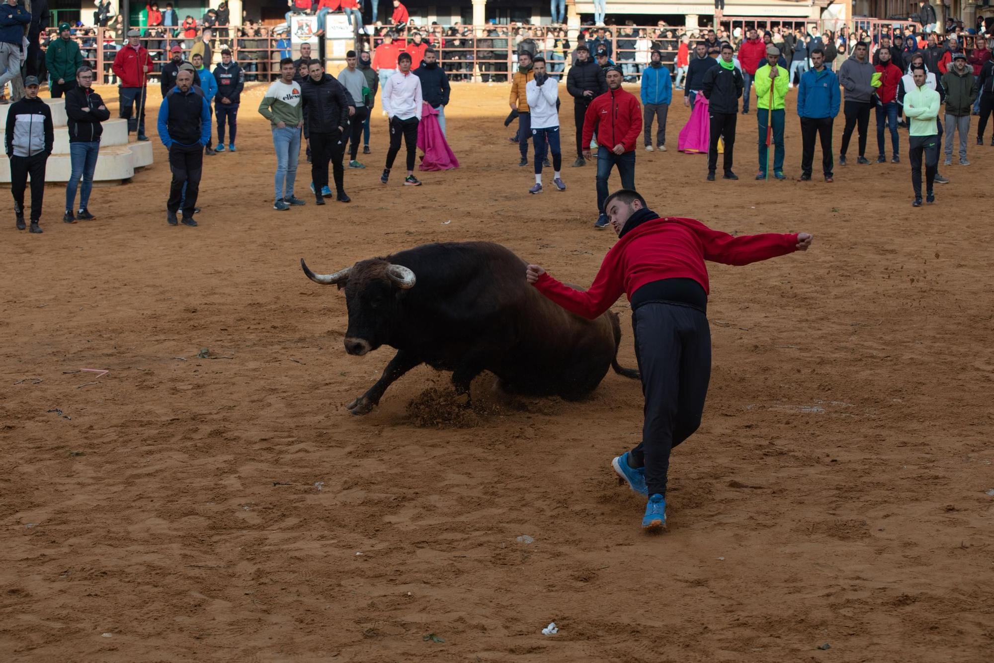 GALERÍA | Villalpando vibra con el "Toro de la Purísima"