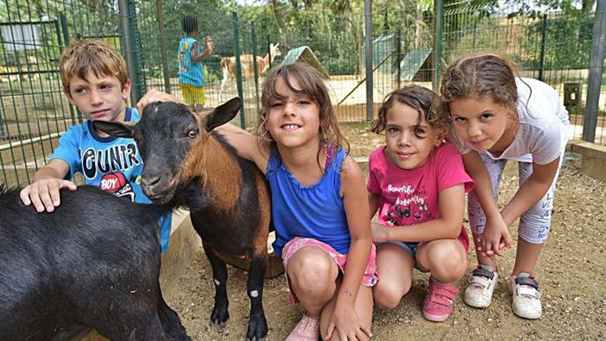 Colònies urbanes a Girona per a menors en situació de vulnerabilitat 