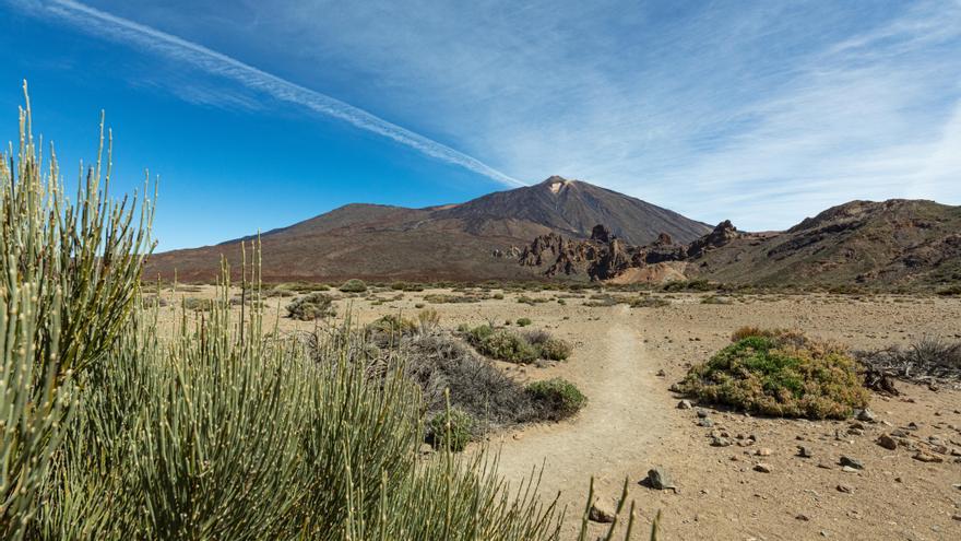 Aquests són els plans més originals per conèixer Tenerife en profunditat