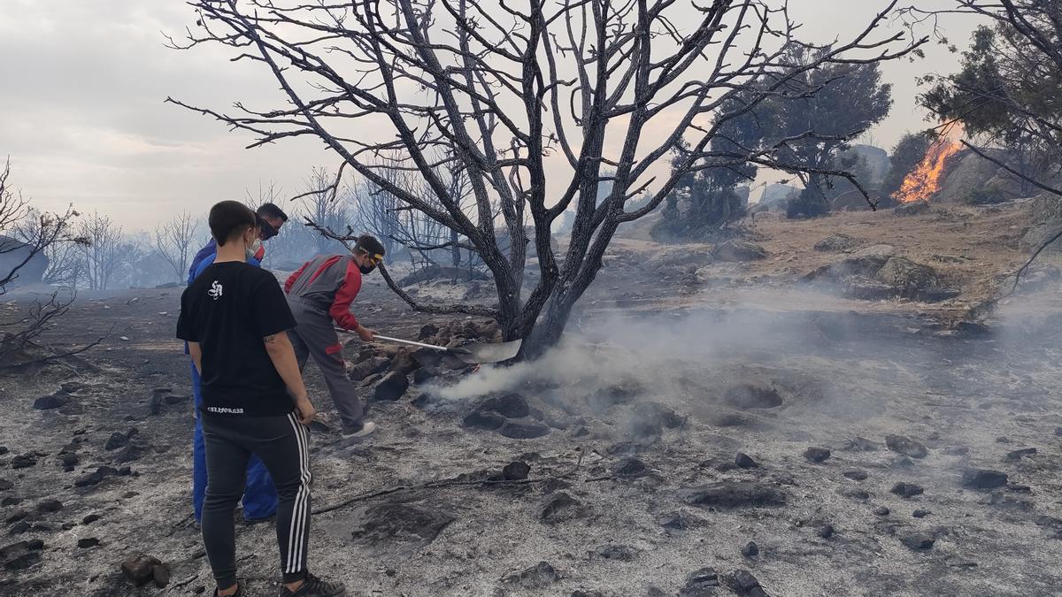 Incendio en la localidad de San Juan de la Nava (Ávila).