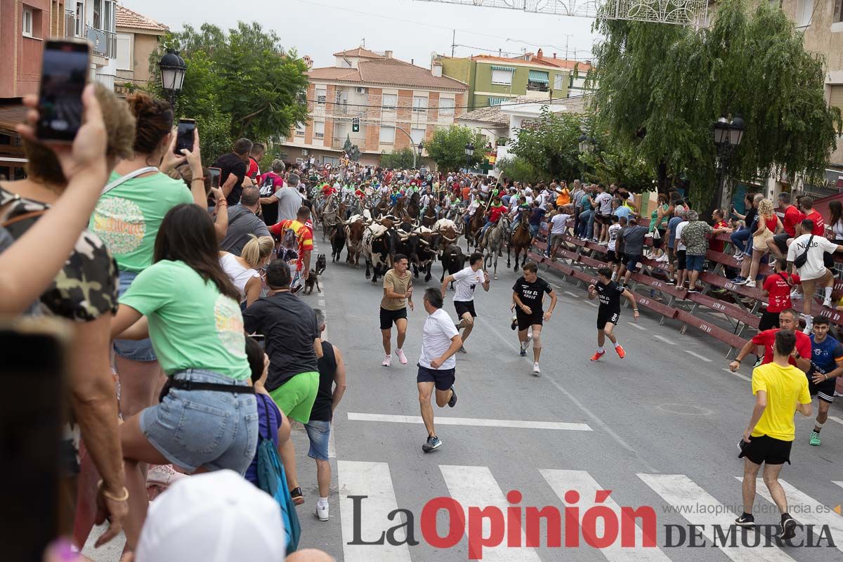 Cuarto encierro en las Fiestas de Moratalla