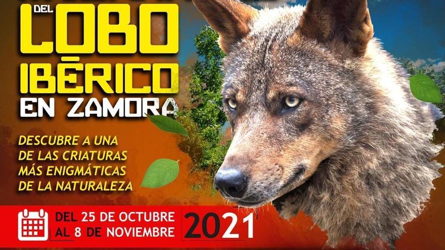 Programa de las Jornadas del Lobo Ibérico en Zamora.