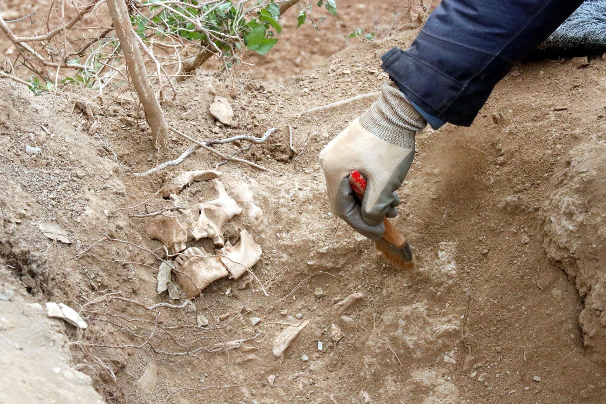 Descobreixen restes d'un poblat visigot al jaciment dels Sants Metges de Sant Julià de Ramis