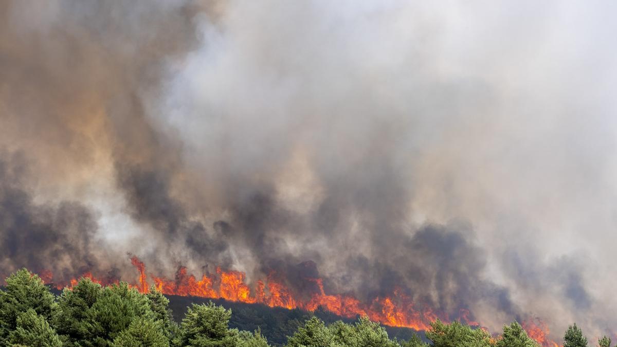DIRECTO | Pedro Sánchez visita las zonas afectadas por el incendio de La Mierla (Guadalajara)