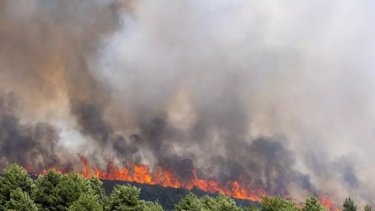 DIRECTO | Pedro Sánchez visita las zonas afectadas por el incendio de La Mierla (Guadalajara)