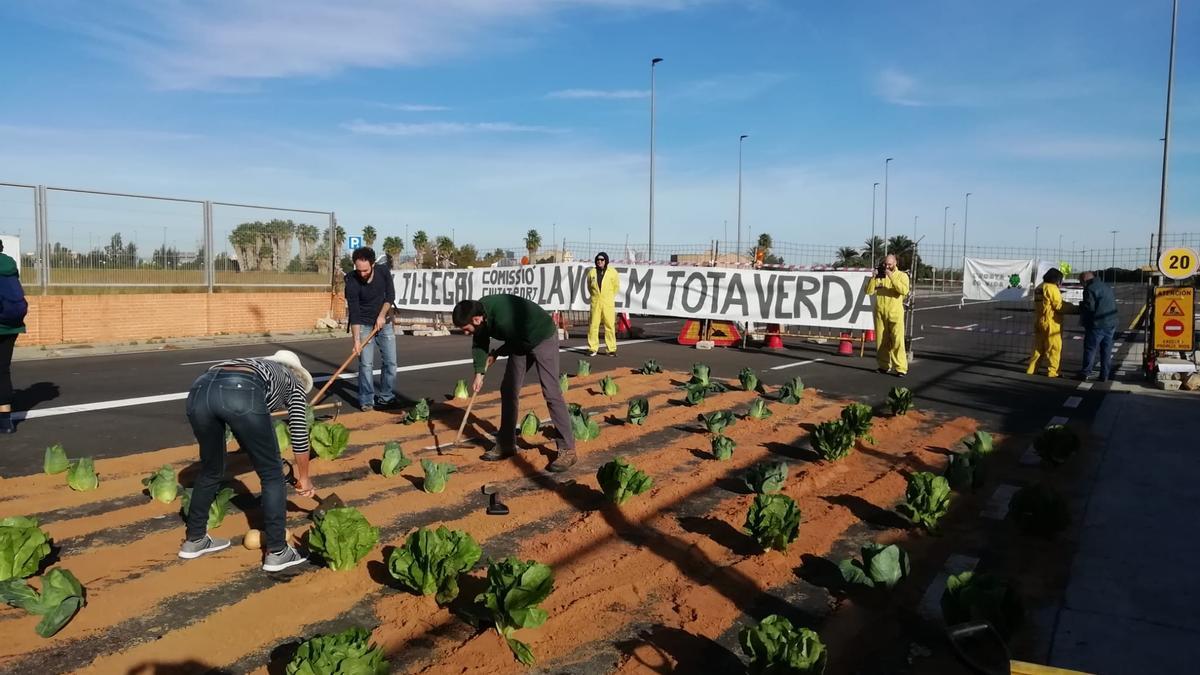 Los ecologistas &quot;plantan&quot; coles y lechugas sobre el asfalto de la ZAL del Puerto de València.