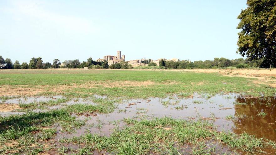 Castelló d'Empúries posa en marxa l'estany artificial de la Vila com a "porta d'entrada" als Aiguamolls