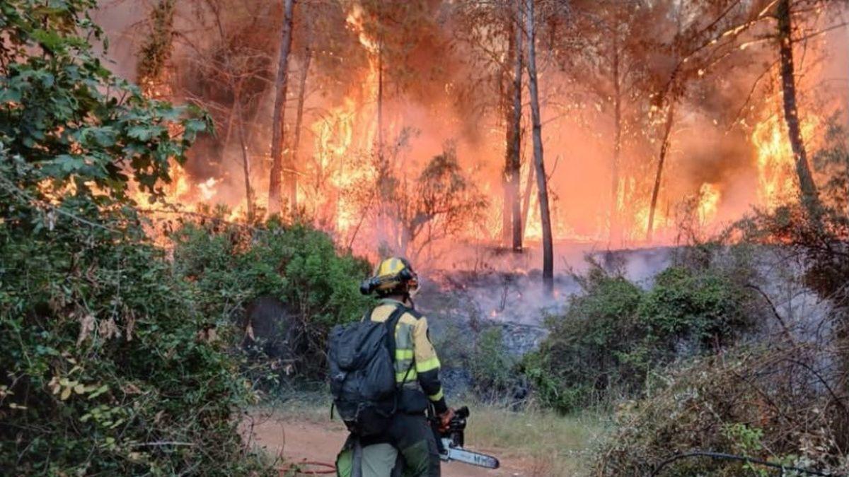 Un integrante de las BRIF en el incendio de Veo en la noche del martes al miércoles.