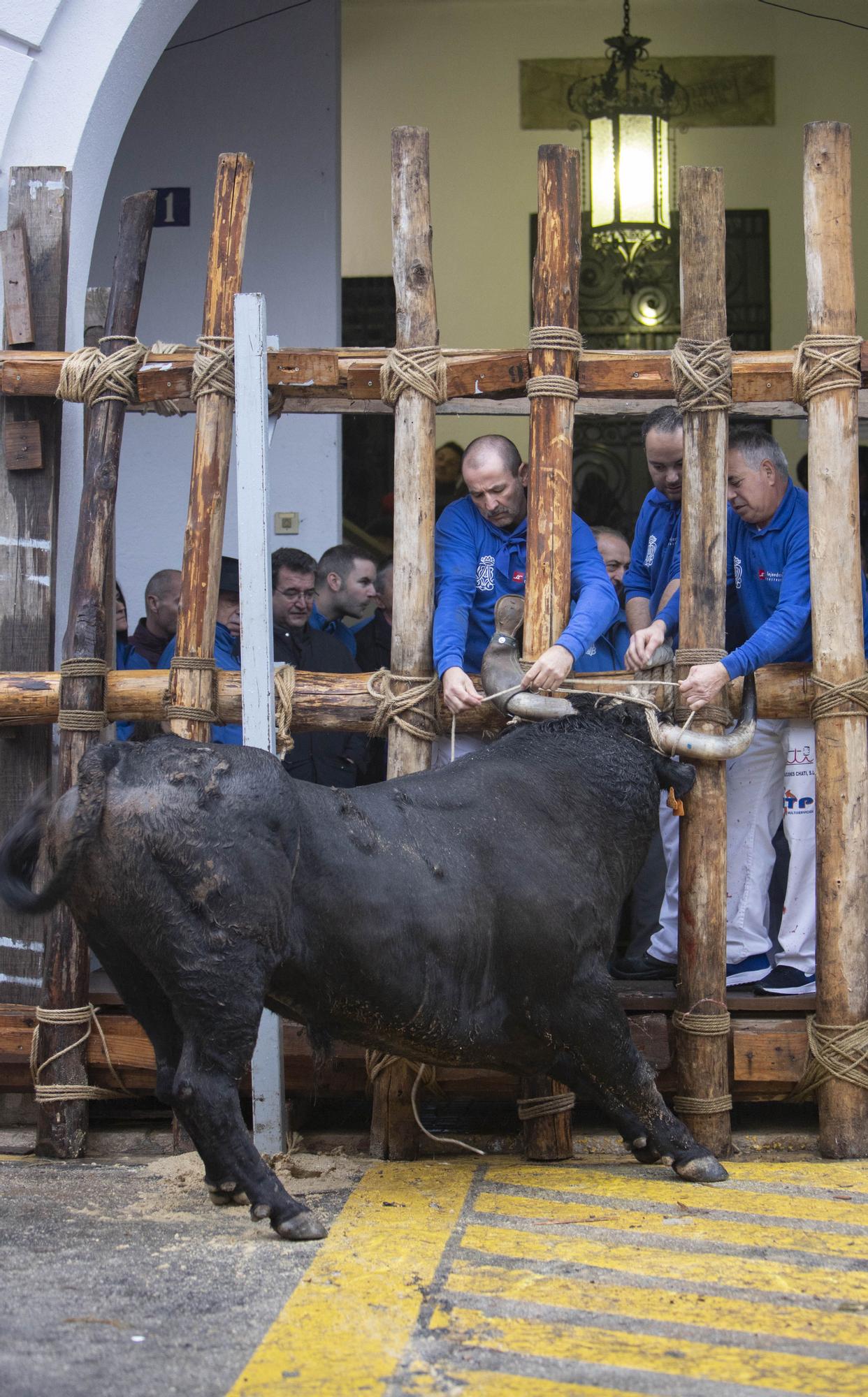 El "Bou en corda" vuelve al Pont Vell de Ontinyent