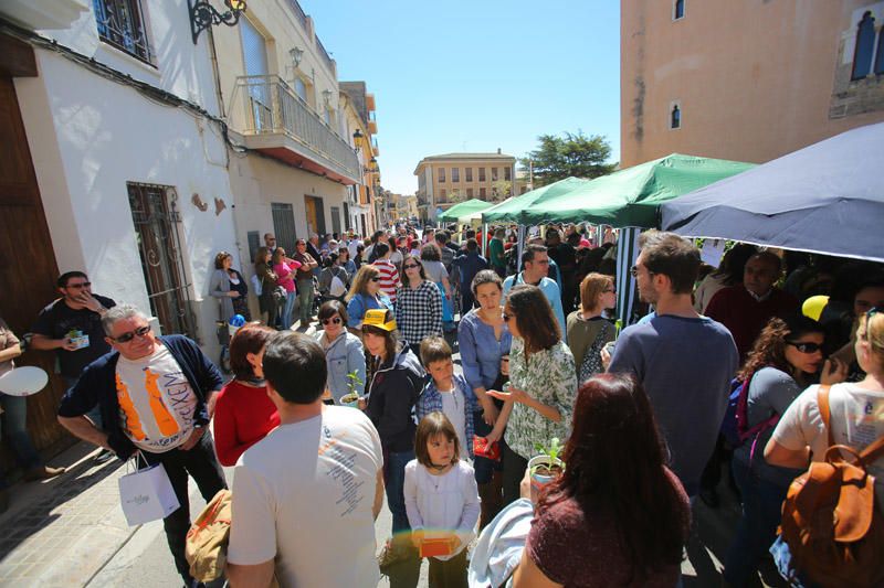 Trobada d'Escoles en Valencià en Albalat