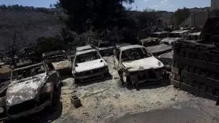 Doce años después, la Serra Perenxisa se recupera del incendio que arrasó 320 hectáreas