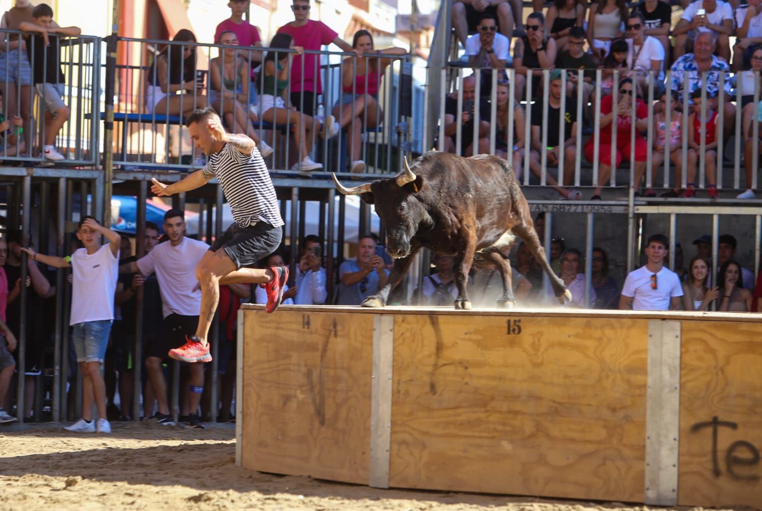 Las mejores fotos del encierro de este sábado en el Grau de Castelló por las fiestas de Sant Pere