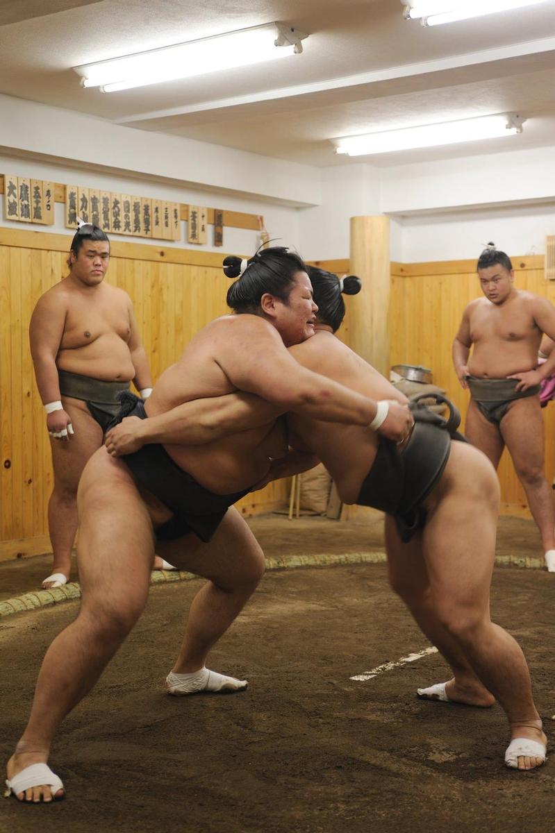 Luchadores de sumo, lucha tradicional japonesa