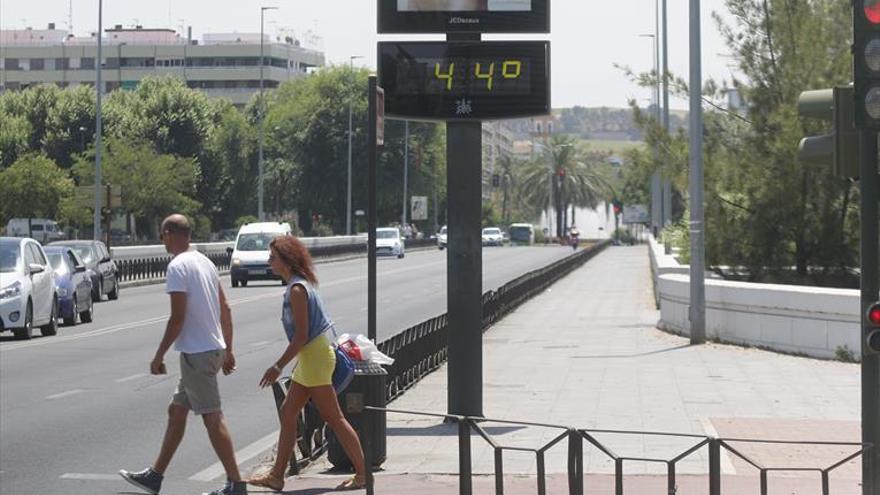 El Ayuntamiento invertirá un millón en ejecutar doce tramos de vías ciclistas