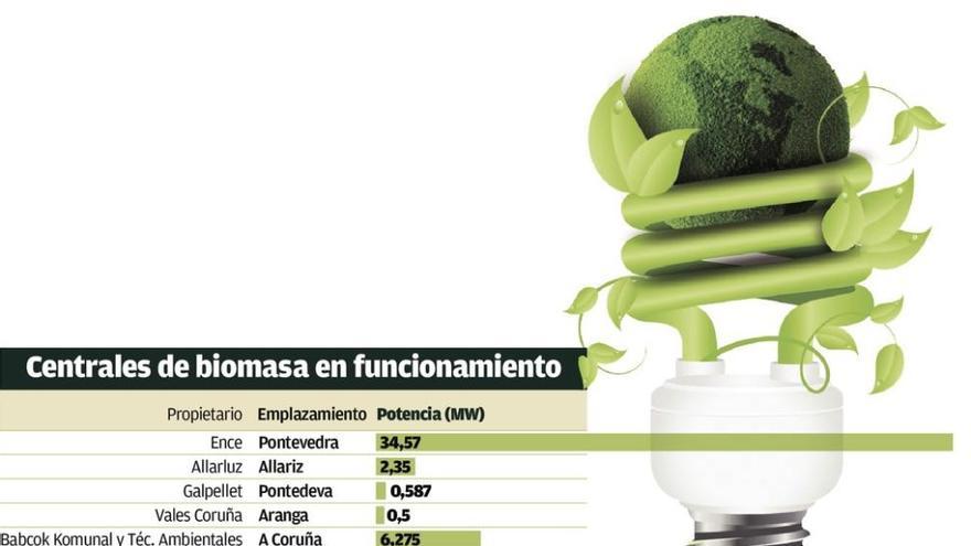 Los límites en Galicia al tamaño de las plantas bloquea el despegue de la biomasa