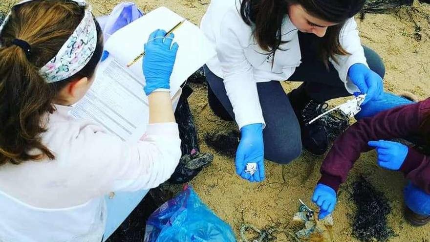 Los alumnos de seis colegios participaron en la limpieza de playas de la ría de Pontevedra. // GALP