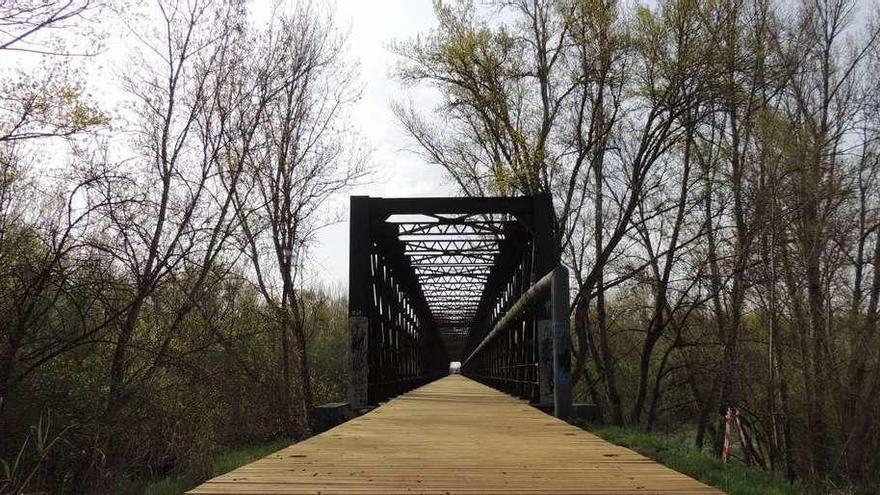 Aspecto que presentaba ayer el puente grande sobre el río Esla en Villanueva de Azoague.