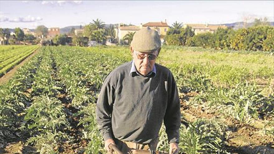 La falta de oferta dispara el precio de verduras y hortalizas