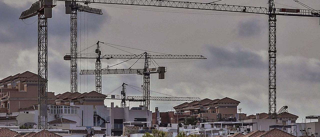 Grúas de promociones en construcción en la ciudad de Torrevieja.  | ANTONIO AMORÓS