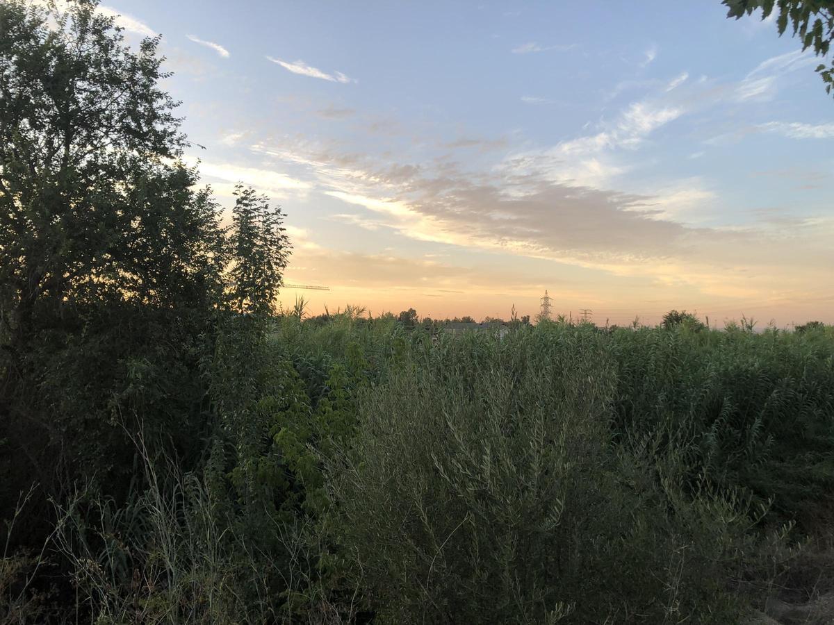 Fotogalería | El zonche de los Villegas en Cáceres