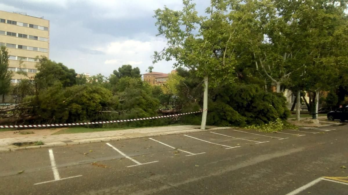 Consecuencias de la tormenta en Zaragoza