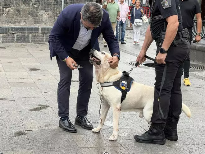 La Policía Local de Santa Cruz de La Palma despide a su agente canino ‘Draco’