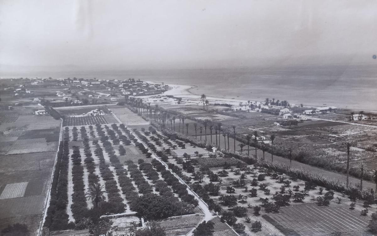 El &quot;risueño&quot; paisaje agrícola de Dénia en 1923. Ahora ese horizonte tiene el gesto hosco del hormigón