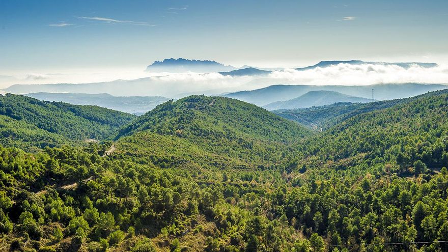 El Geoparc de la Catalunya Central agafa embranzida per ser més rellevant