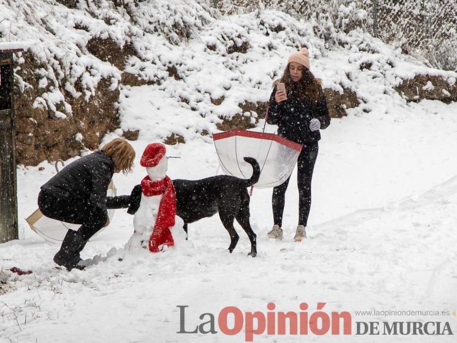 Nieve en las Fuentes del Marqués de Caravaca