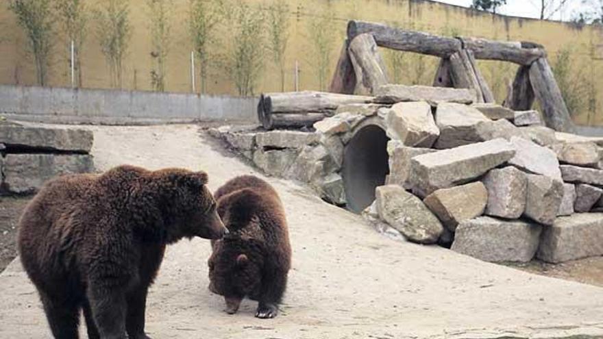 El recinto de los osos fue uno de los que se acondicionó para ajustarse a la normativa comunitaria.