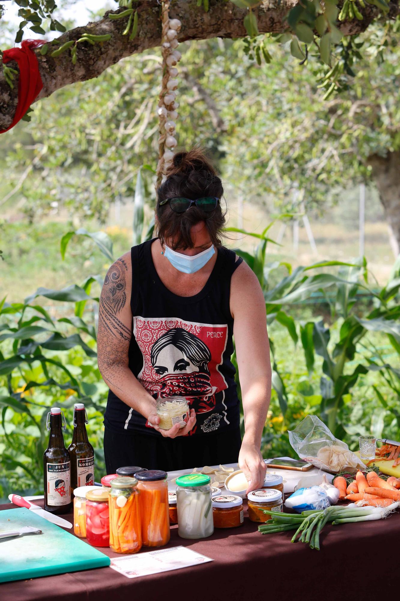 Taller de fermentación en Ibiza