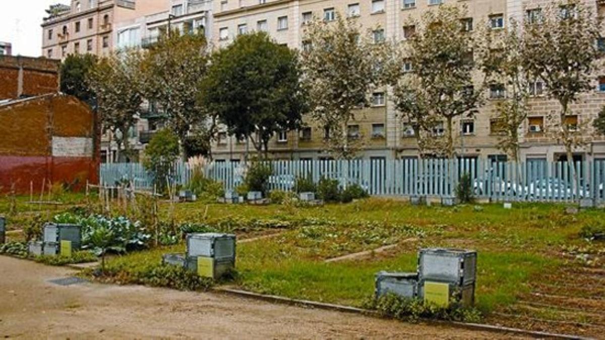 Algunas de las parcelas cultivadas del huerto urbano del distrito de Eixample, entre las calles de Padilla, Enamorats y Consell de Cent, el pasado lunes.