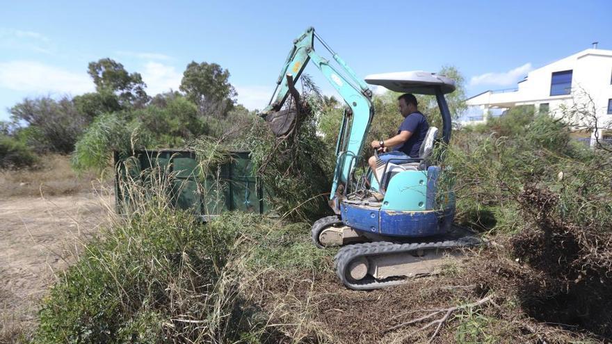 Tienen que utilizarse máquinas para retirar la vegetación