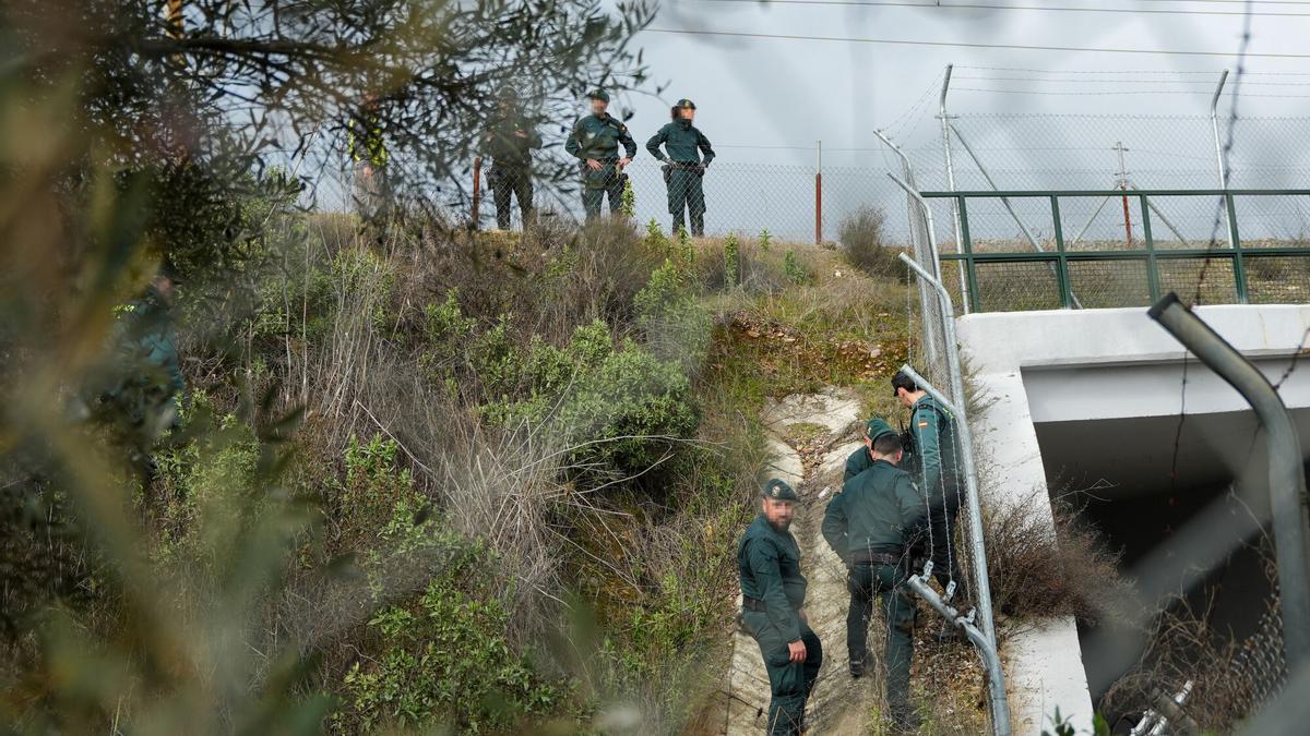 Vídeo | La Guardia Civil continúa trabajando en la identificación de todas las víctimas del accidente de Adamuz