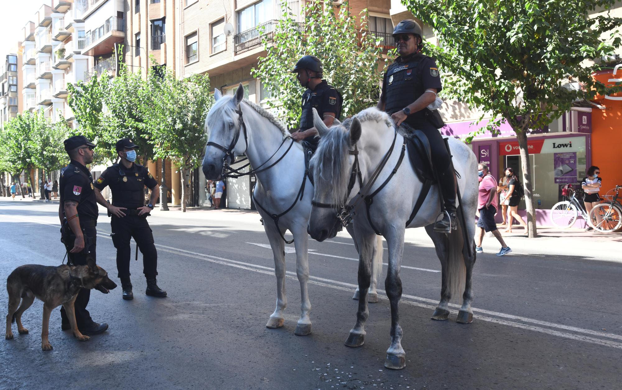 Paseo-desfile de carruajes y caballos en Murcia