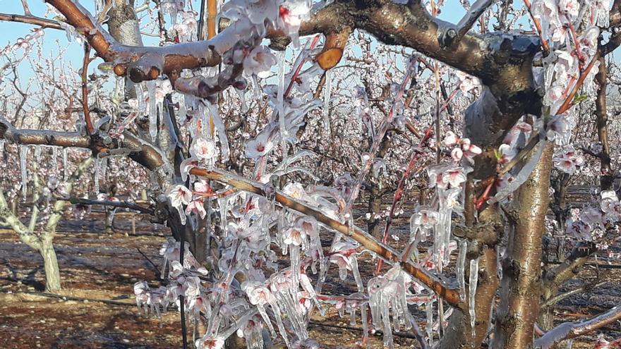 Los agricultores cruzan los dedos para esquivar las heladas en la Región