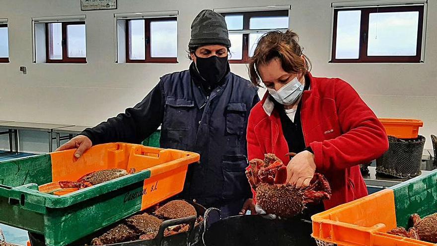 Solo cuatro barcos salieron ayer a la centolla en Cangas. |   // G.NÚÑEZ