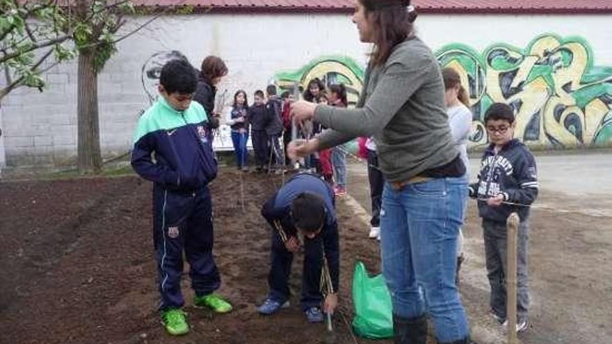 Algunos alumnos del colegio A Laxe trabajan en el huerto.  // Faro