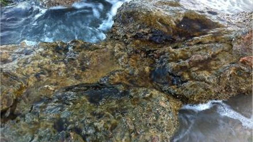 Una mancha se distingue en las rocas junto al mar.