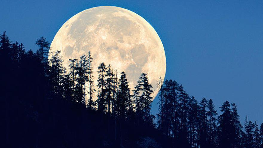 Los murcianos podrán disfrutar de un eclipse lunar, una lluvia de estrellas y de ver a Júpiter, Marte y Saturno
