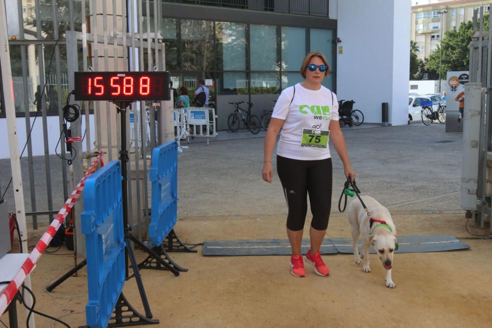 El Parque Huelin ha acogido la primera edición de un evento destinado a las mascotas y a sus dueños, con carreras en diversas categorías, actividades gratuitas y numerosos stands