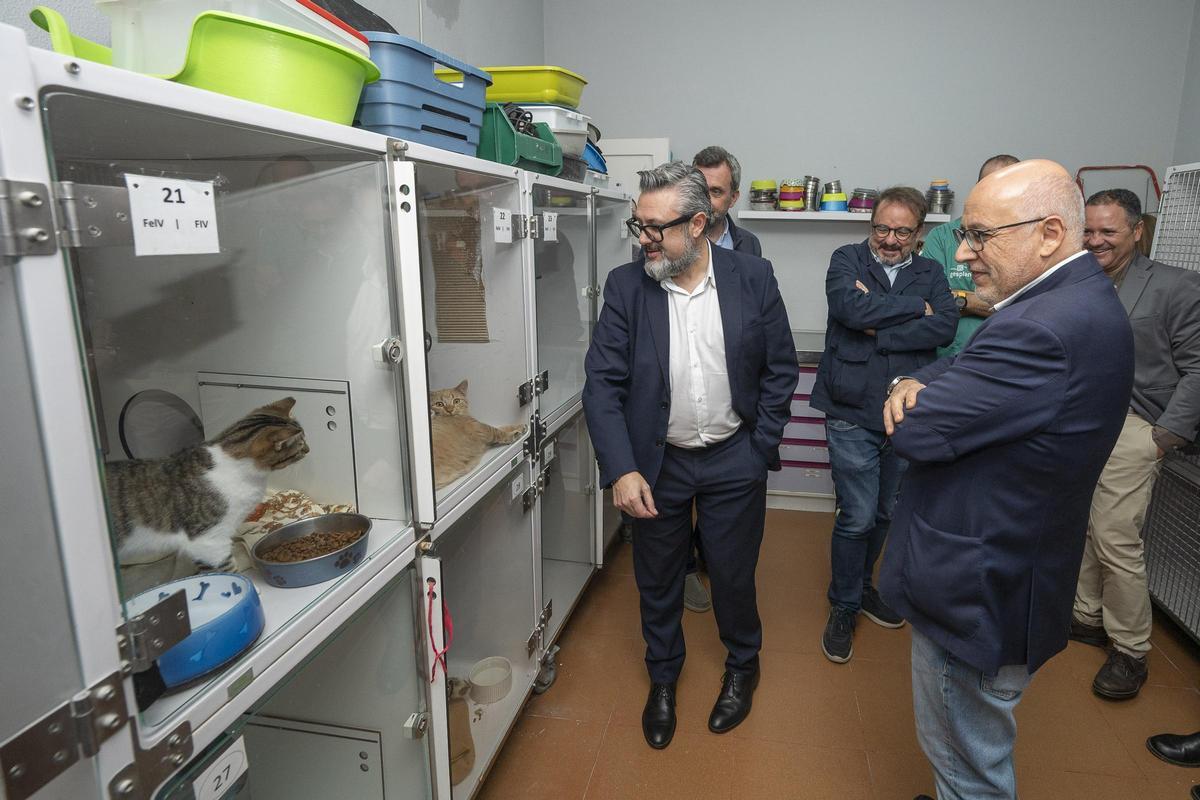 El presidente del Cabildo de Gran Canaria, Antonio Morales; el consejero de Medio Ambiente, Clima, Energía y Conocimiento, Raúl García Brink, y el consejero delegado de Gesplan, Miguel Ángel Pérez, en su visita al albergue insular de animales de Gran Canaria.