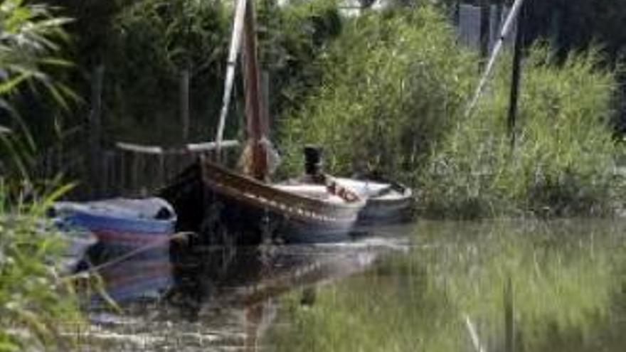 Imagen reciente del lago de l&#039;Albufera.