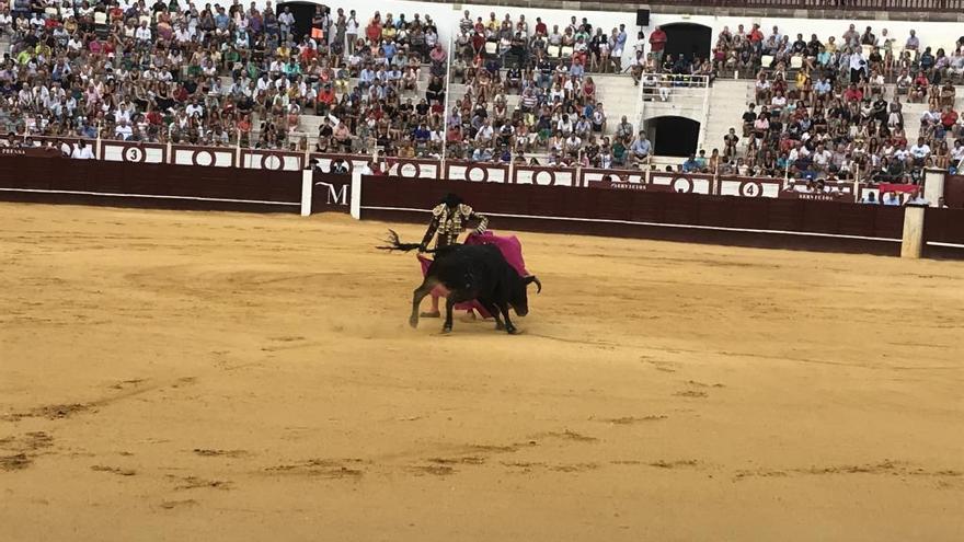 El futuro de la fiesta ya está en La Malagueta