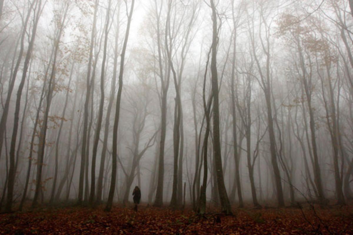 Una dona passeja per un bosc cobert de boira a Tbilisi (Geòrgia).